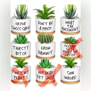 Humorous Succulent Plant Pot